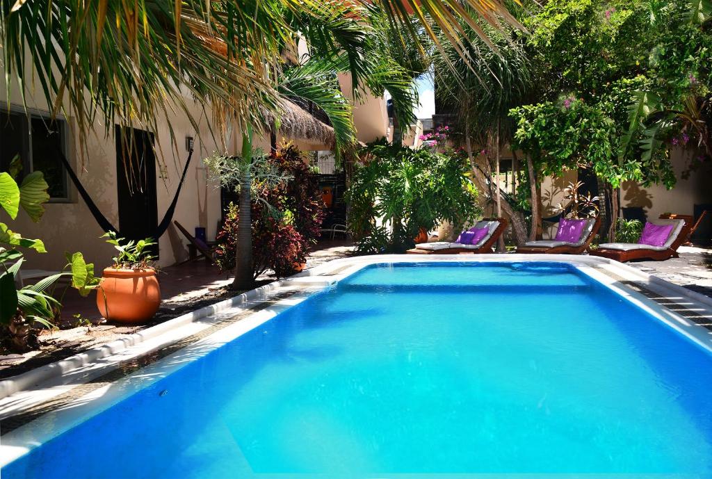 uma piscina num quintal com cadeiras e plantas em Villas Geminis Boutique Condohotel em Tulum