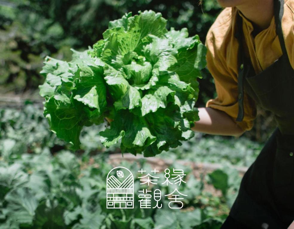 Zahrada ubytování 茶緣觀舍民宿