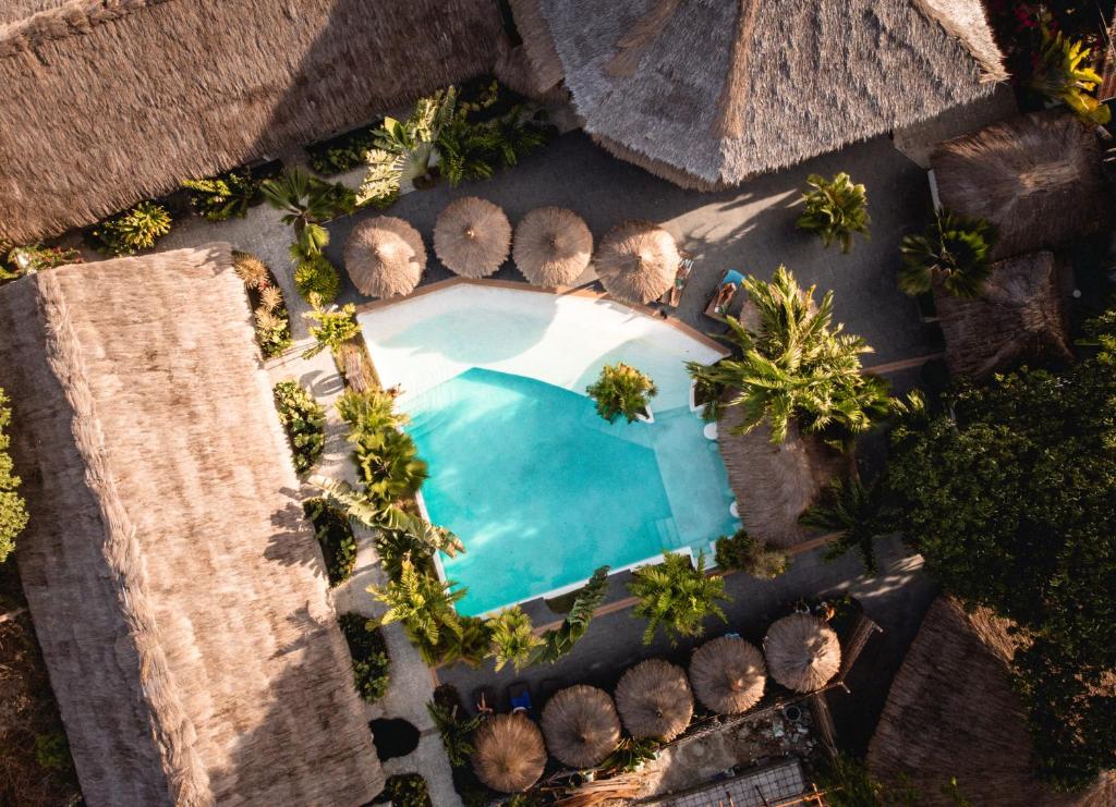 una vista aérea de una piscina con palmeras en Secret paradise moalboal en Moalboal