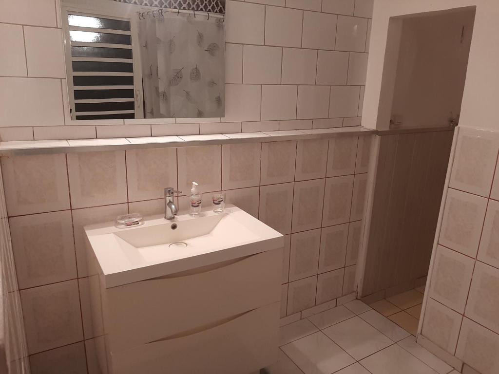 a bathroom with a sink and a mirror at Gites coeur des Antilles G in Trois-Rivières