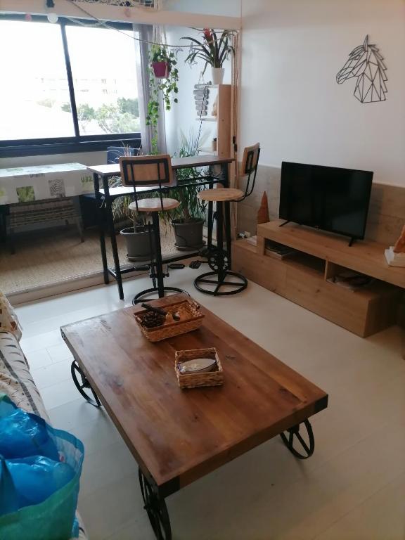 a living room with a coffee table and a tv at PALMA 3 in Port-la-Nouvelle