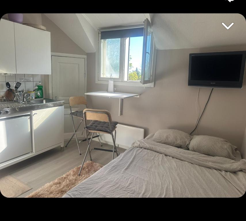une chambre avec un lit et une cuisine avec une télévision dans l'établissement Yksiö lähellä Kupittaa Rautatieasemaa Turku, à Turku