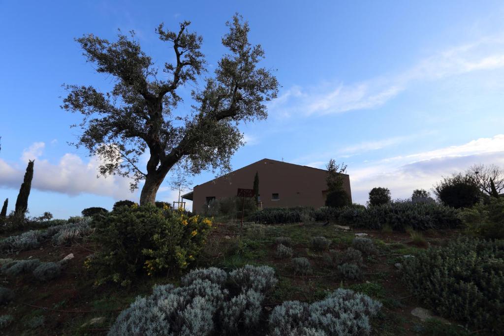 Zahrada ubytování Agriturismo Le Piccole Macìe