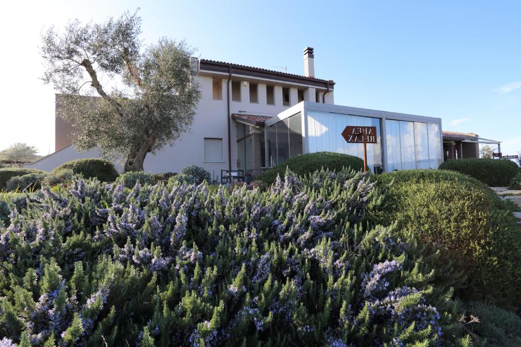 Zahrada ubytování Agriturismo Le Piccole Macìe