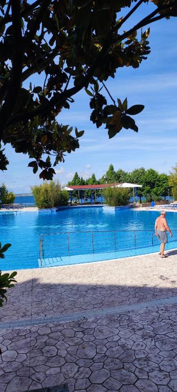 a person standing in front of a swimming pool at Marina in Aheloy