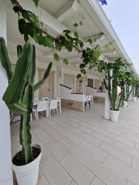 SANTA VENERE Apartments "PARCHEGGIO interno MOTO-AUTO" Ricarica auto Elettriche - 12