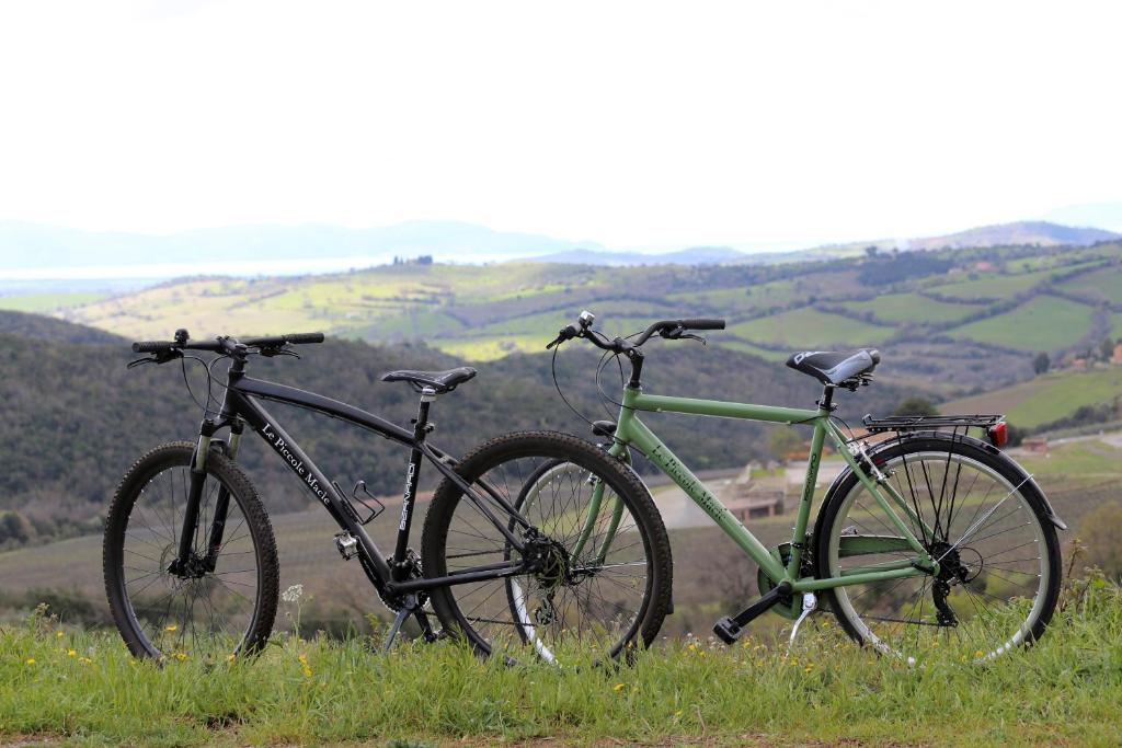 Jízda na kole v ubytování Agriturismo Le Piccole Macìe nebo okolí