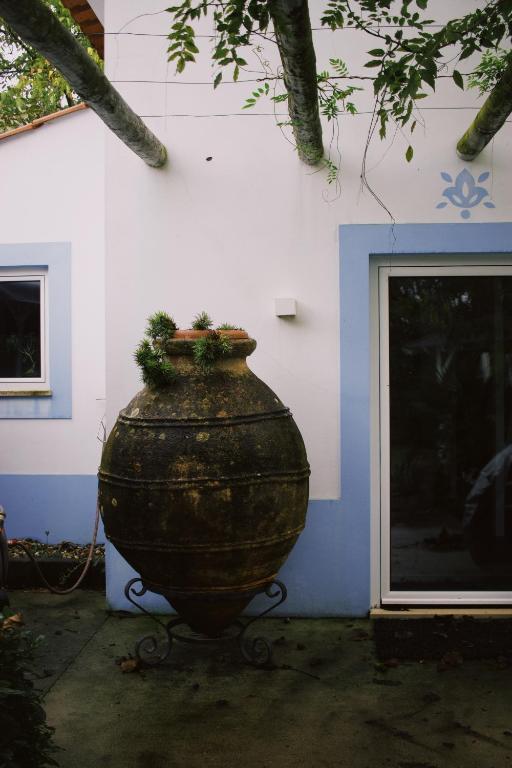 a large vase sitting in front of a building at Casa Oliva-Casa da Eira in Porto de Mós