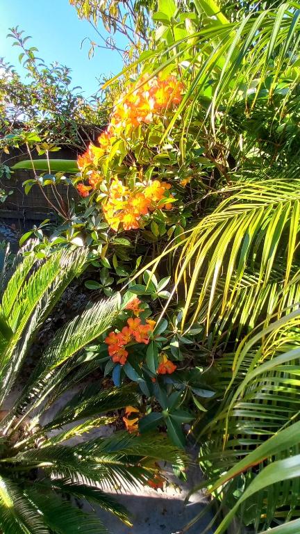 Stylish Matua Apartment - Resim 16