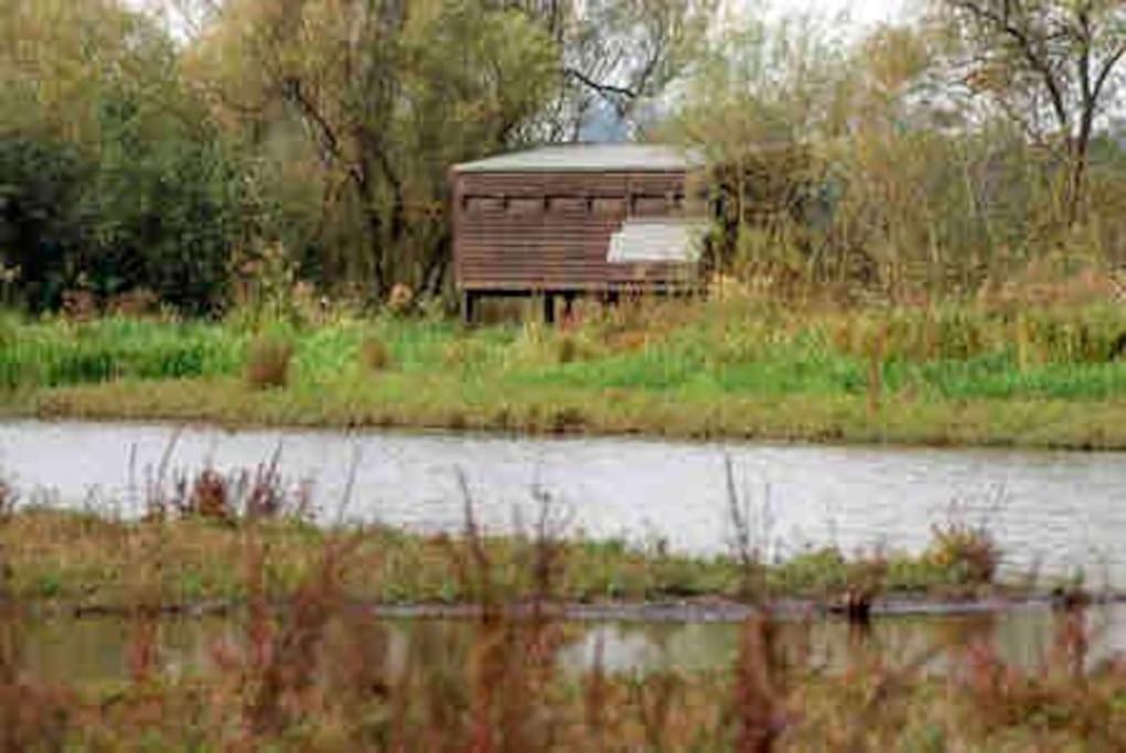 Příroda nedaleko prázdninového domu