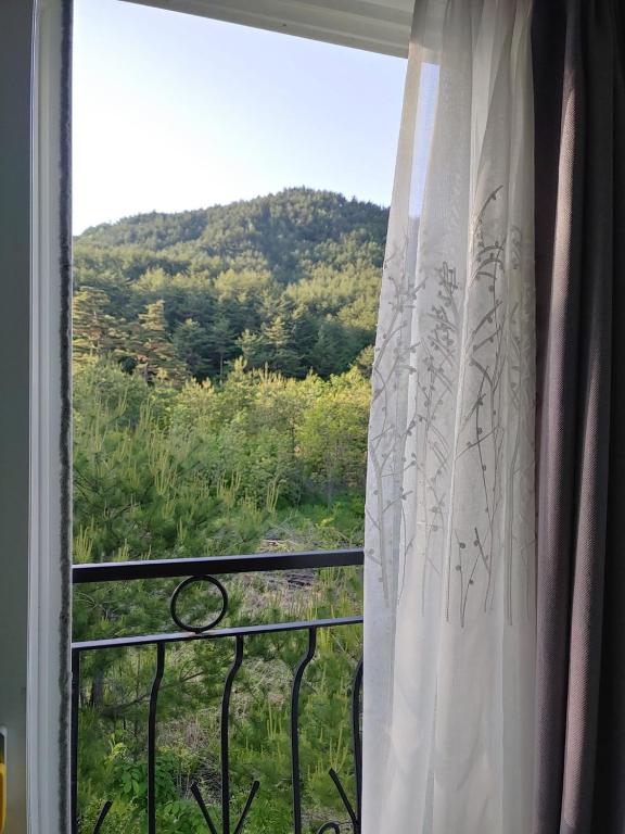 산 경관 또는 게스트하우스에서 바라본 산 전망