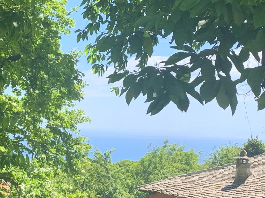 uma vista para o oceano a partir do telhado de uma casa em Pelion 7 Lives em Tsagarada