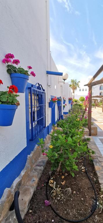 Zahrada ubytování Hotel El Puntazo I