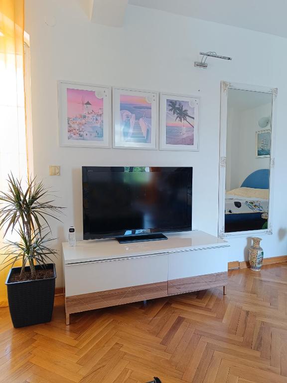 TV a/nebo společenská místnost v ubytování Vila Sentić