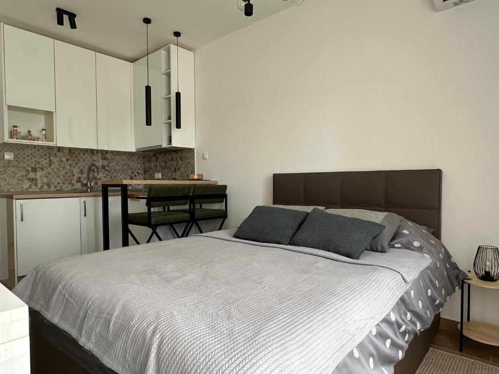 1 dormitorio con 1 cama grande y cocina en WIN centar apartman, en Trebinje