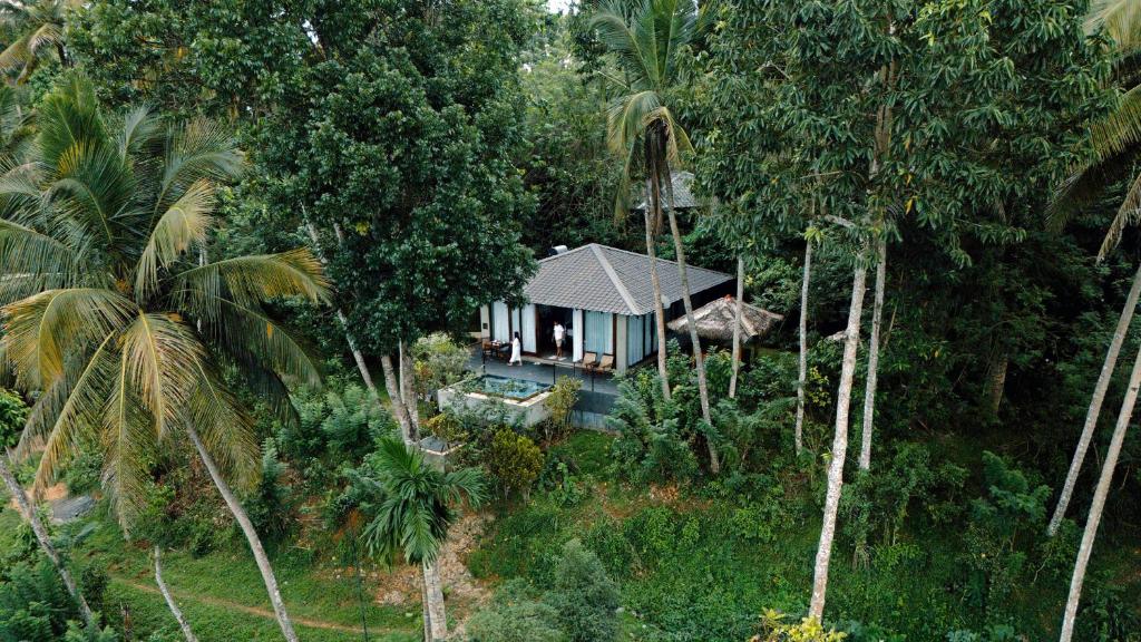 Zahrada ubytování Aarunya Nature Resort - Kandy