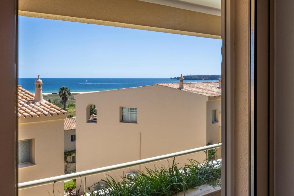 Vila Palmeira Beach Resort - 8