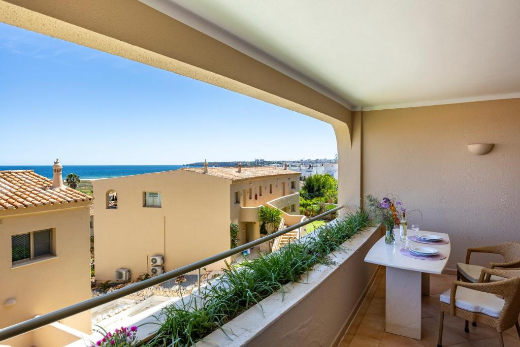 Vila Palmeira Beach Resort - 2