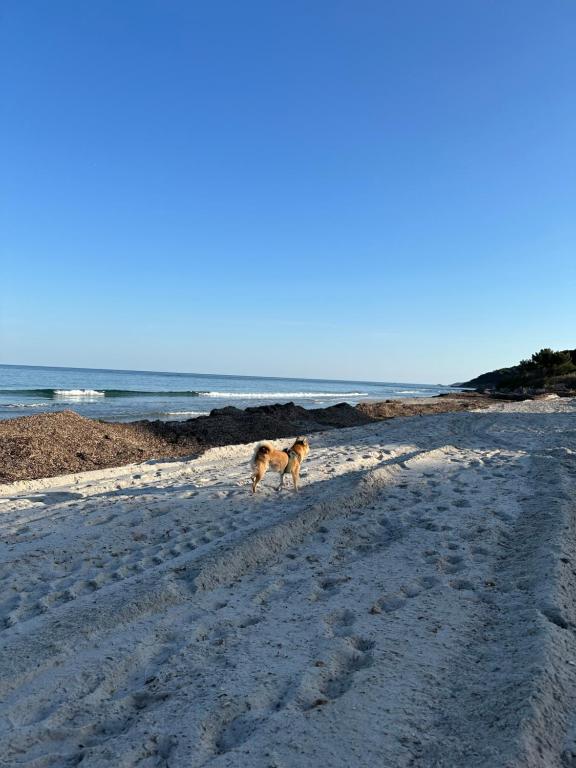 Příroda nedaleko apartmánu