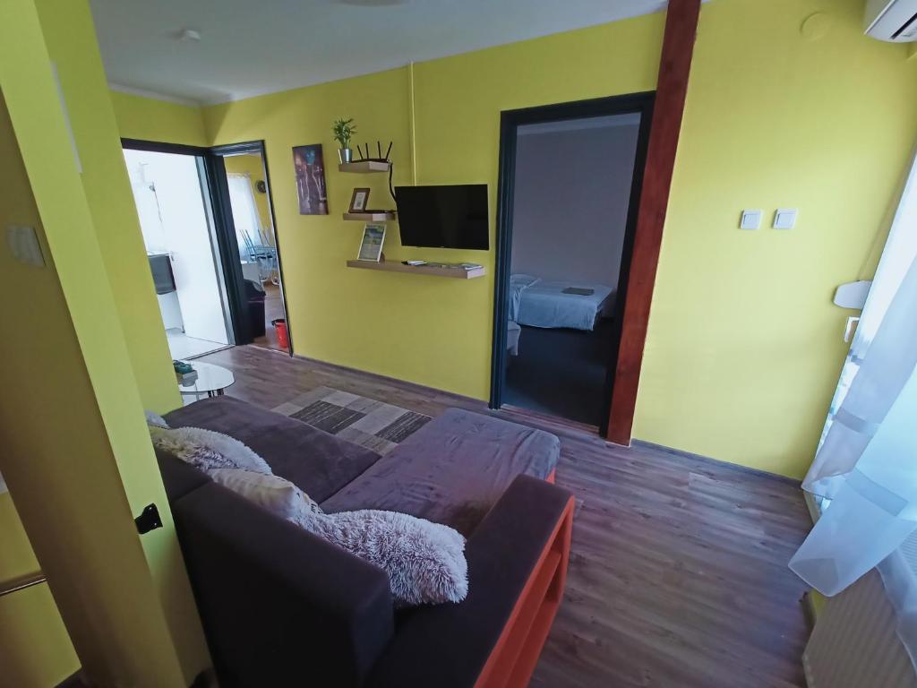 a living room with a couch and a television at AMRI Apartman in Balatonföldvár