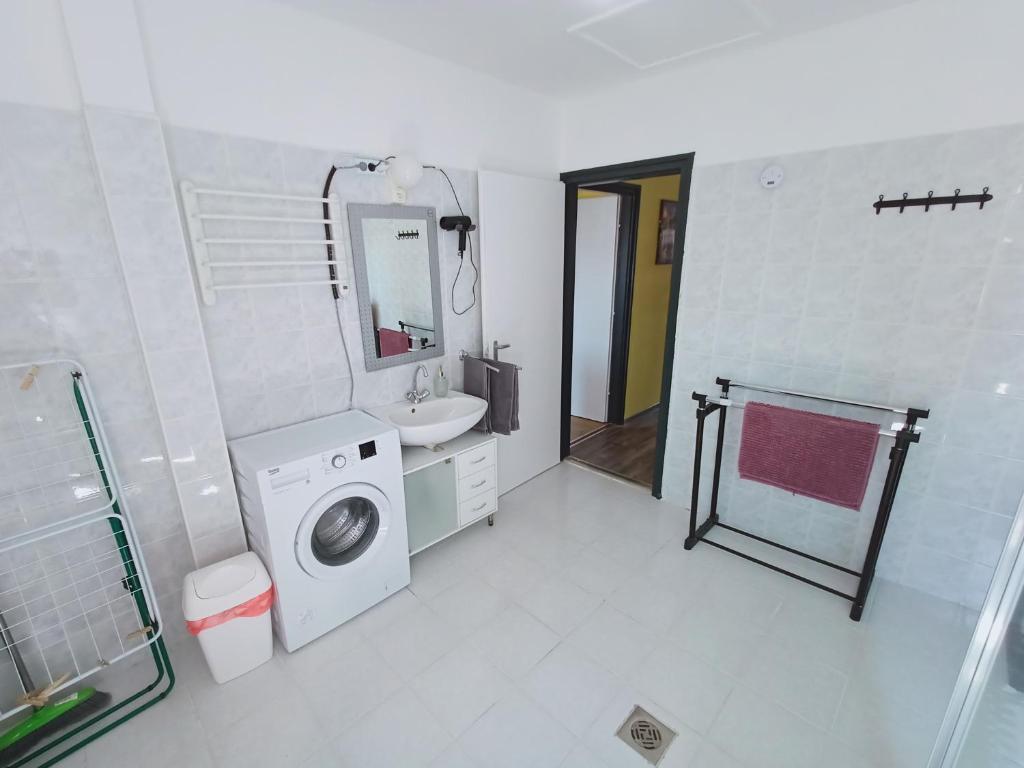 a bathroom with a washing machine and a sink at AMRI Apartman in Balatonföldvár