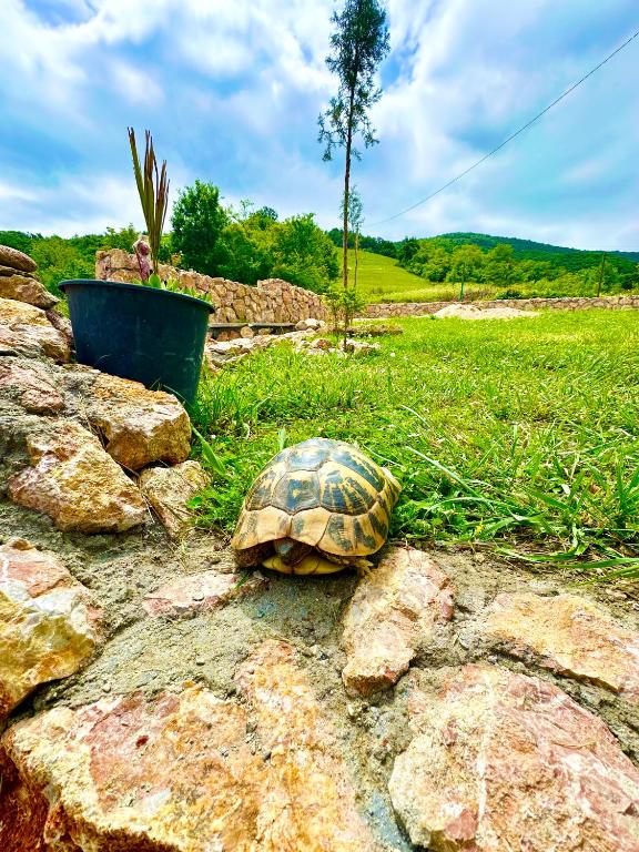 Paesaggio naturale nelle vicinanze della casa vacanze