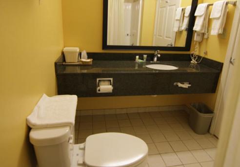 Magnolia Inn and Suites Southaven - Standaard Tweepersoonskamer