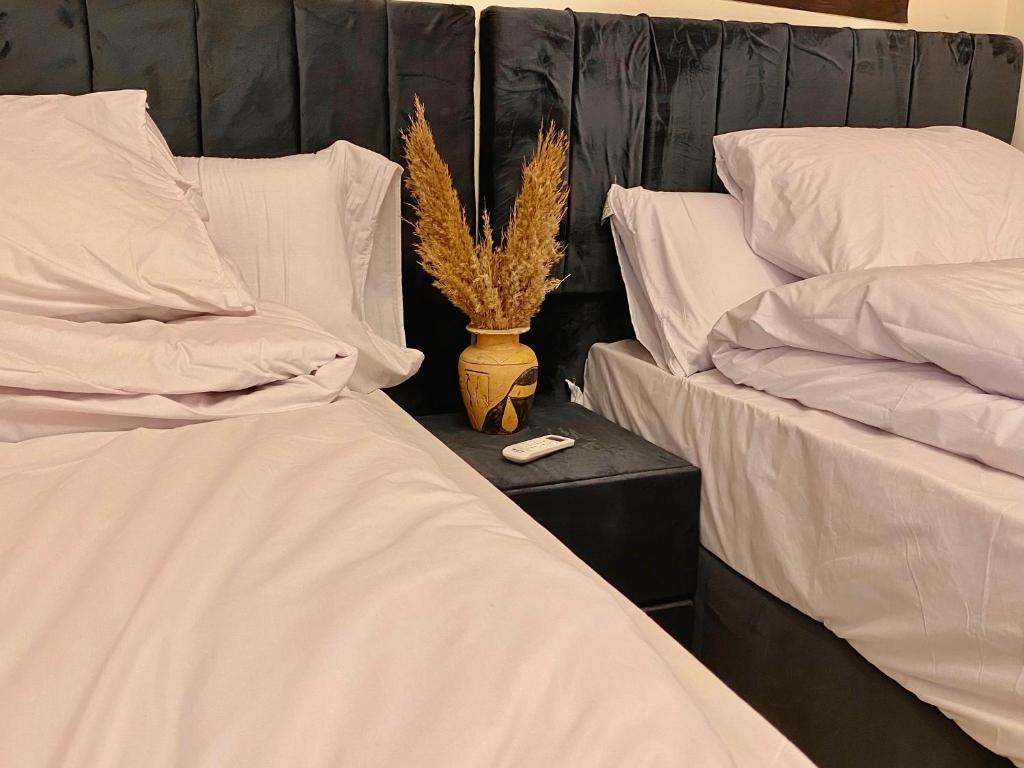 Farsha Pyramids Inn - 15