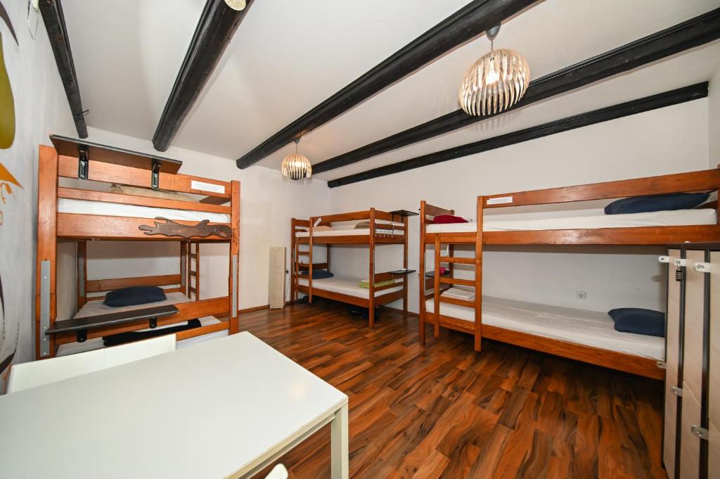 Posteľ alebo postele v izbe v ubytovaní The Lazy Monkey Hostel & Apartments