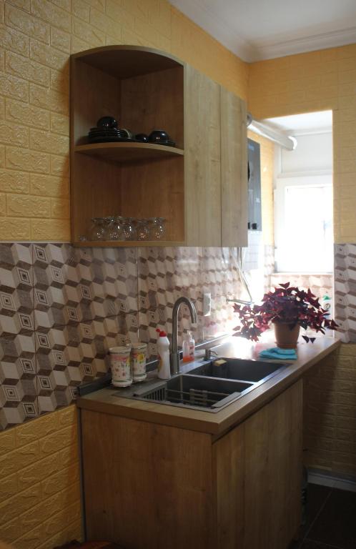 Kuchyň nebo kuchyňský kout v ubytování Guesthouse Levani