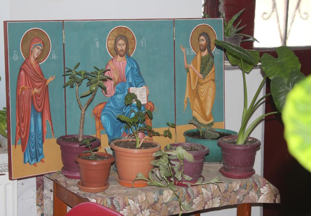 Fotografie z fotogalerie ubytování Guesthouse Levani v destinaci Gori