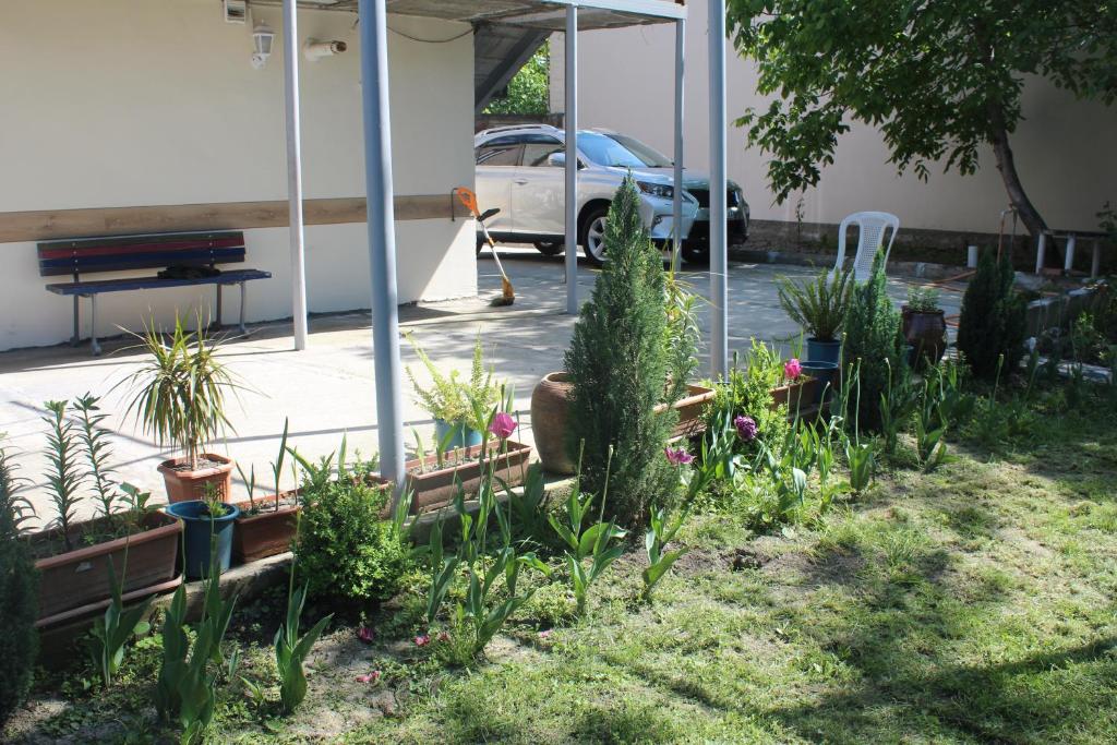 Zahrada ubytování Guesthouse Levani