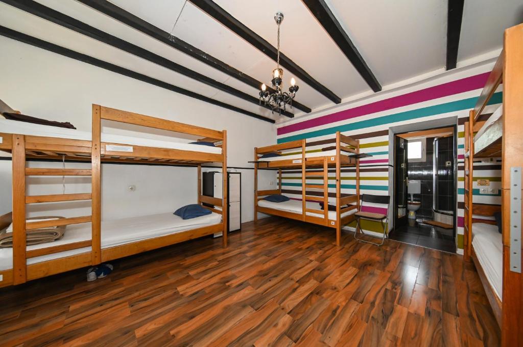 The Lazy Monkey Hostel & Apartments - Bed In 8-Bed Mixed Dormitory Room