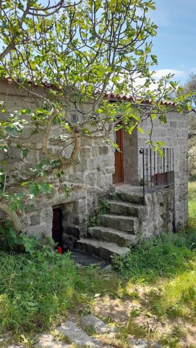 - un bâtiment en pierre avec des escaliers menant à une porte dans l'établissement Bergerie en pierres et oliveraie, à Porto-Vecchio