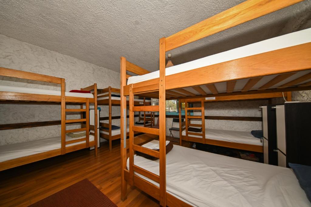 The Lazy Monkey Hostel & Apartments - 4