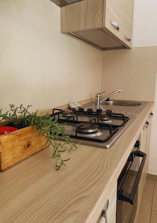Bellaria Beach Apartments