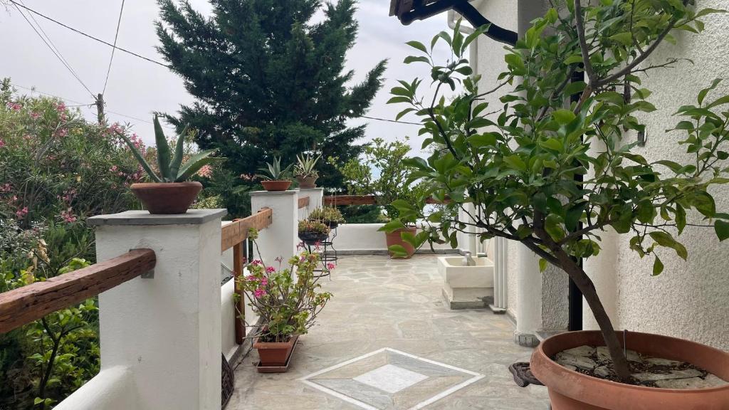 Zahrada ubytování Iris Sea View Villa
