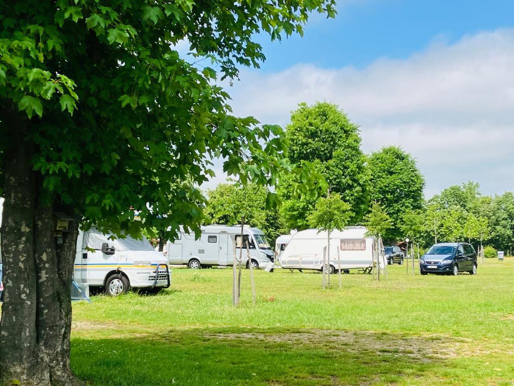 a group of vehicles parked in a field with trees at Polzer CAMPING BÜKFÜRDŐ in Bük