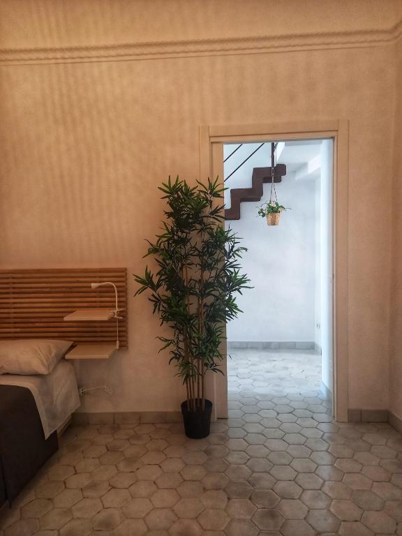Fotografie z fotogalerie ubytování Bamboo House v destinaci Procida