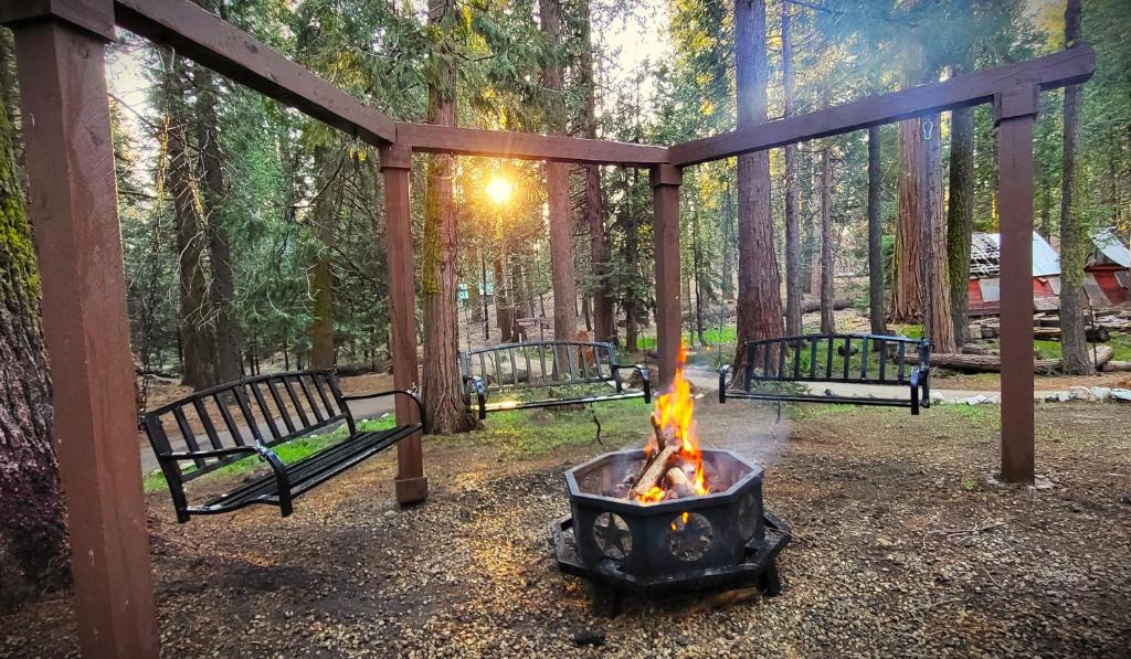 zwei Bänke, die um ein Feuer im Park herum sitzen in der Unterkunft Sequoia Splendor in Wilsonia
