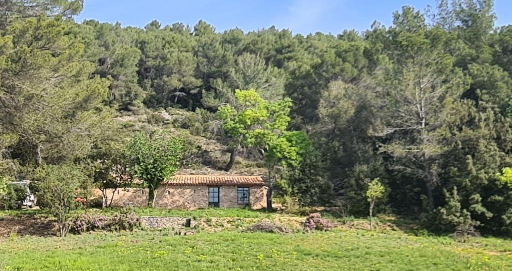 Φυσικό τοπίο κοντά σε αυτή η παραθεριστική κατοικία