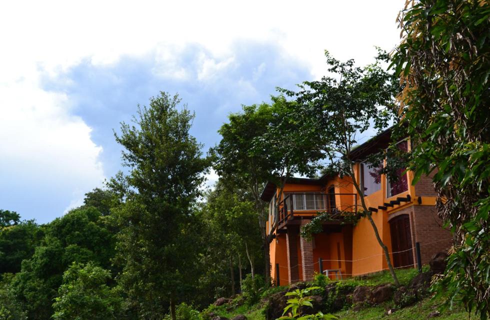 una casa de naranjos en una colina con árboles en Amaraka Lodge en Leandro N. Alem