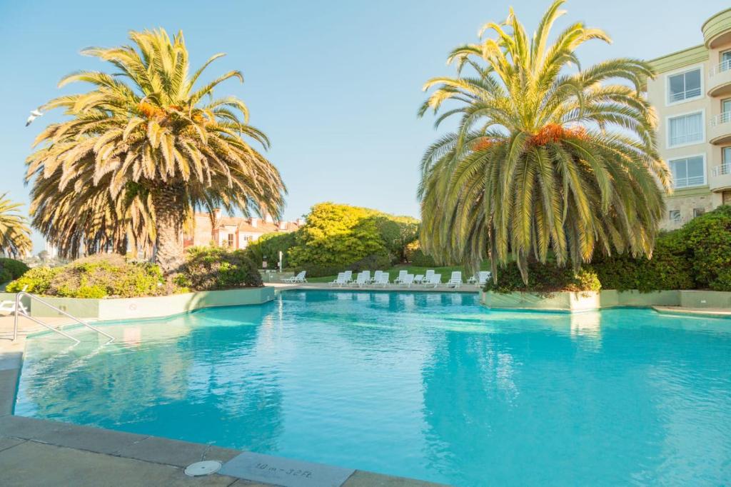 une grande piscine avec des palmiers et des chaises blanches dans l'établissement Resort hippocampus, à Concón