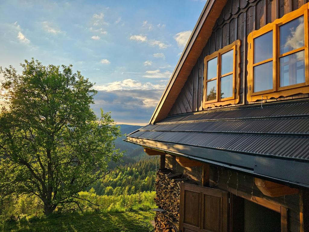 Príroda v okolí horskej chaty