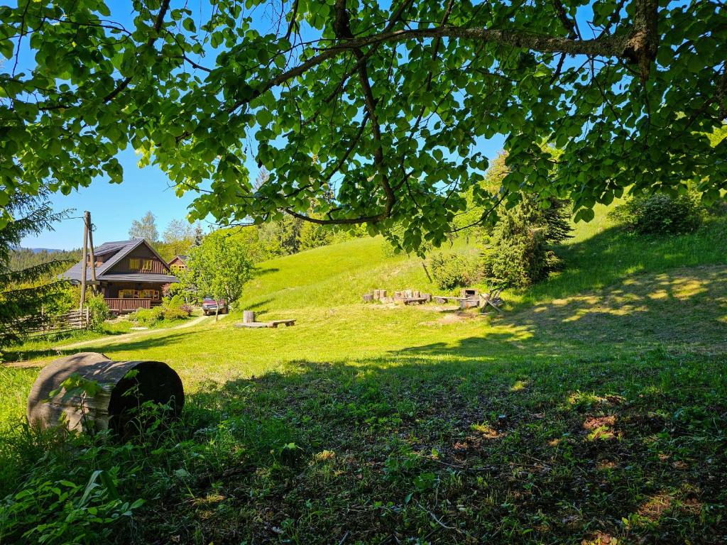 Príroda v okolí horskej chaty