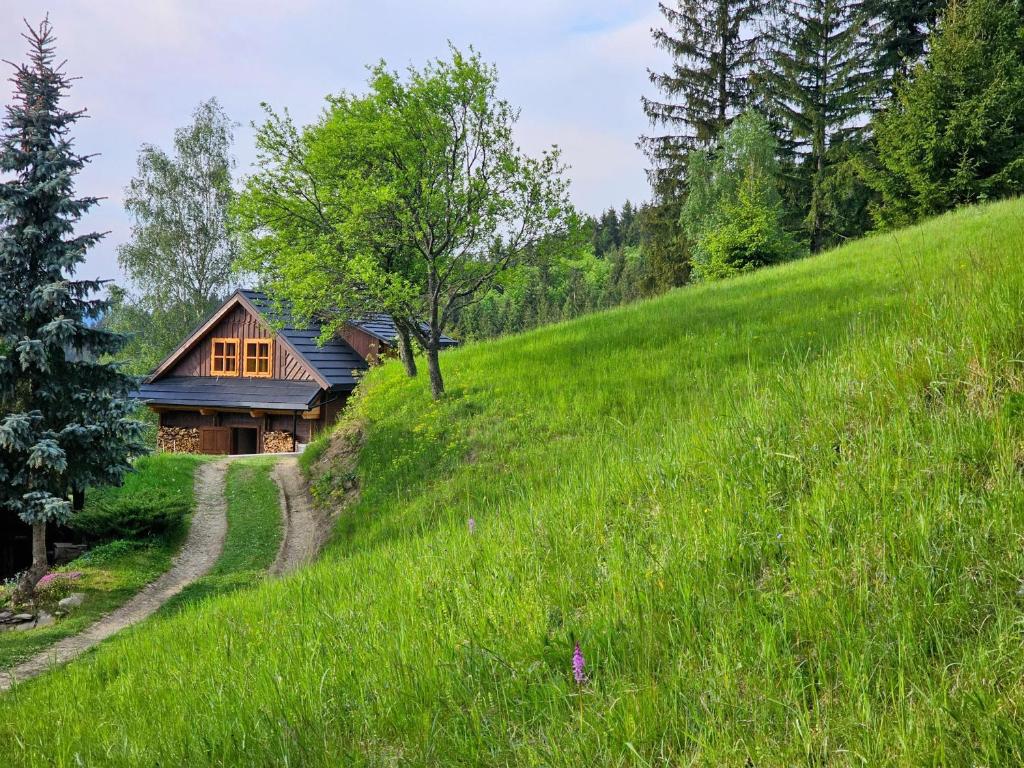 Príroda v okolí horskej chaty