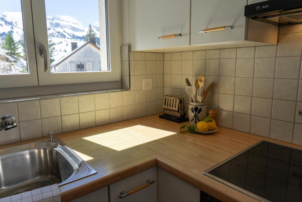 Kuchyň nebo kuchyňský kout v ubytování Silberplatten