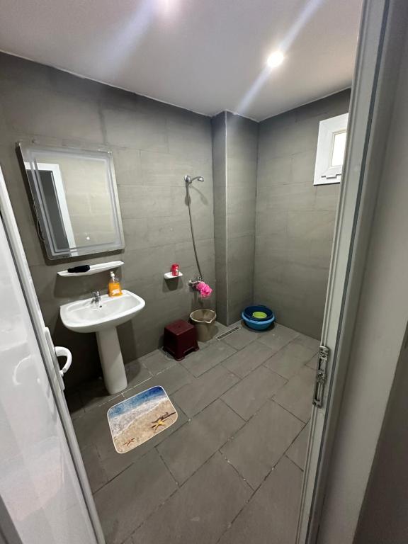 La petite salle de bains est pourvue d'un lavabo et d'une douche. dans l'établissement Appartement reaprom, à Mostaganem