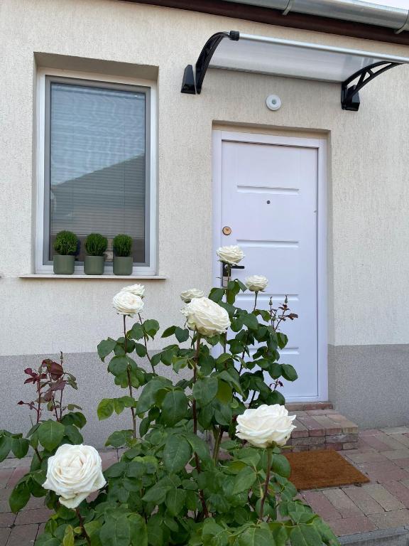 Fotografie z fotogalerie ubytování NOER apartman v destinaci Vecsés