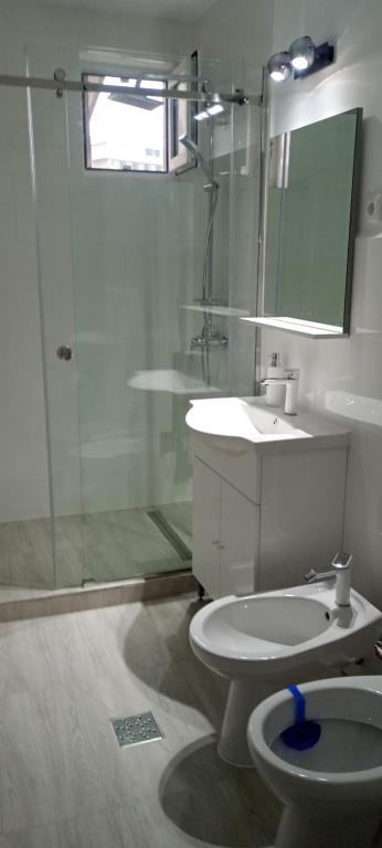 een badkamer met een douche, een toilet en een wastafel bij Apartament Central in Tulcea